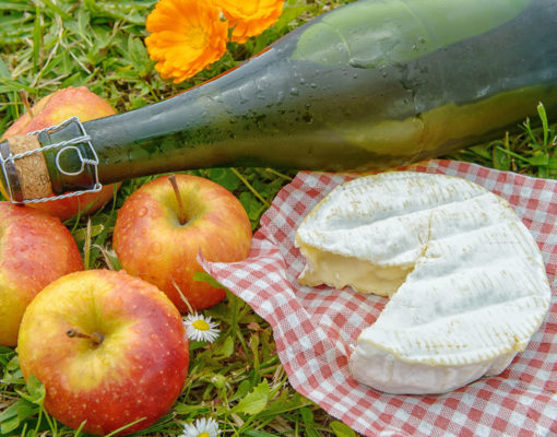 several apples with cider and camembert in the grass